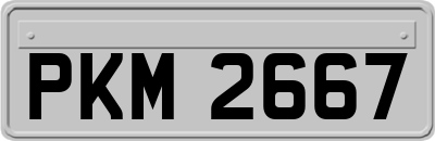 PKM2667