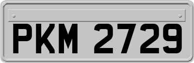 PKM2729