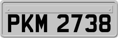 PKM2738