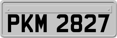 PKM2827