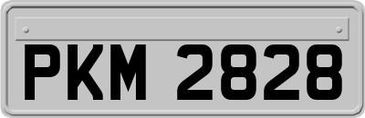 PKM2828