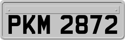 PKM2872