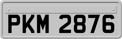 PKM2876
