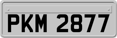 PKM2877