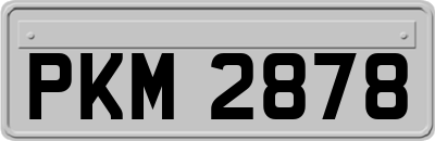 PKM2878