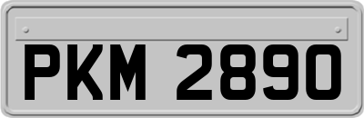 PKM2890