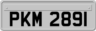 PKM2891