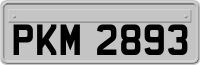 PKM2893