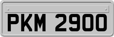 PKM2900