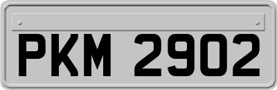 PKM2902