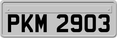 PKM2903