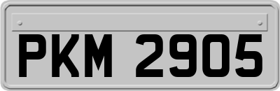 PKM2905