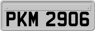 PKM2906