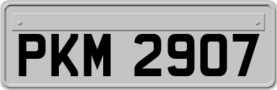 PKM2907
