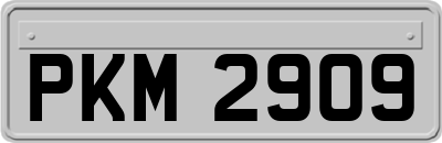PKM2909