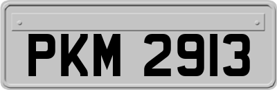 PKM2913
