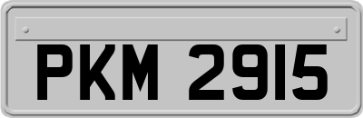 PKM2915
