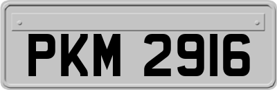 PKM2916