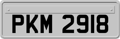 PKM2918