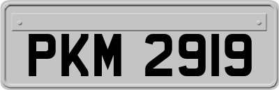 PKM2919