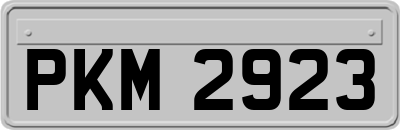 PKM2923