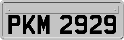 PKM2929