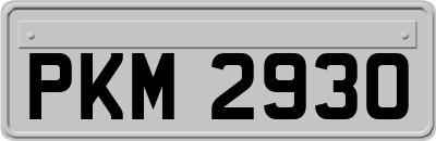 PKM2930