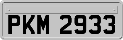 PKM2933