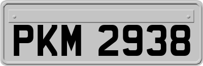PKM2938