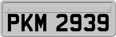 PKM2939