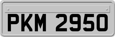 PKM2950