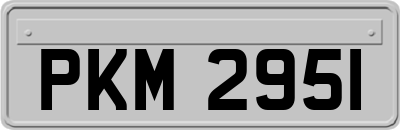 PKM2951
