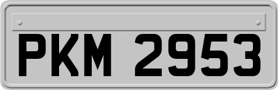PKM2953