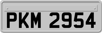 PKM2954