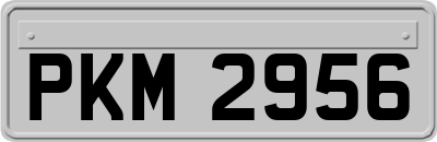 PKM2956