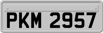 PKM2957