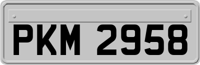 PKM2958