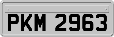 PKM2963