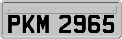PKM2965