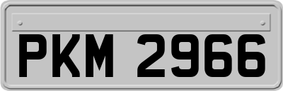 PKM2966