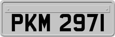 PKM2971