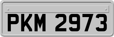 PKM2973