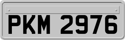 PKM2976