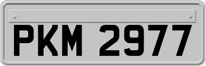 PKM2977