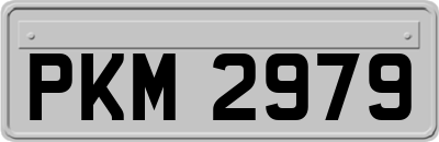 PKM2979