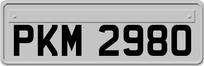 PKM2980