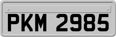 PKM2985