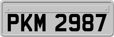 PKM2987