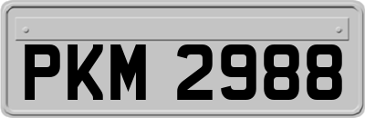PKM2988