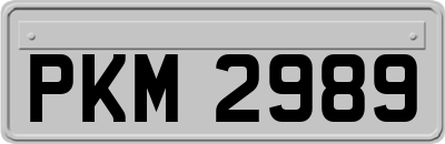 PKM2989